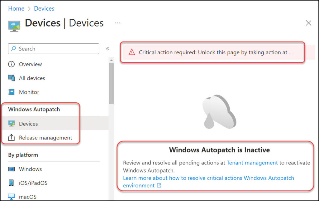 Windows Autopatch is Inactive Error