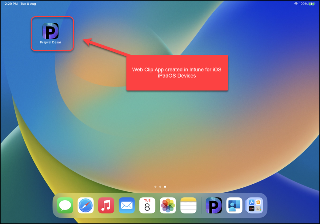 iOS/iPadOS Web Clip App End User Experience
