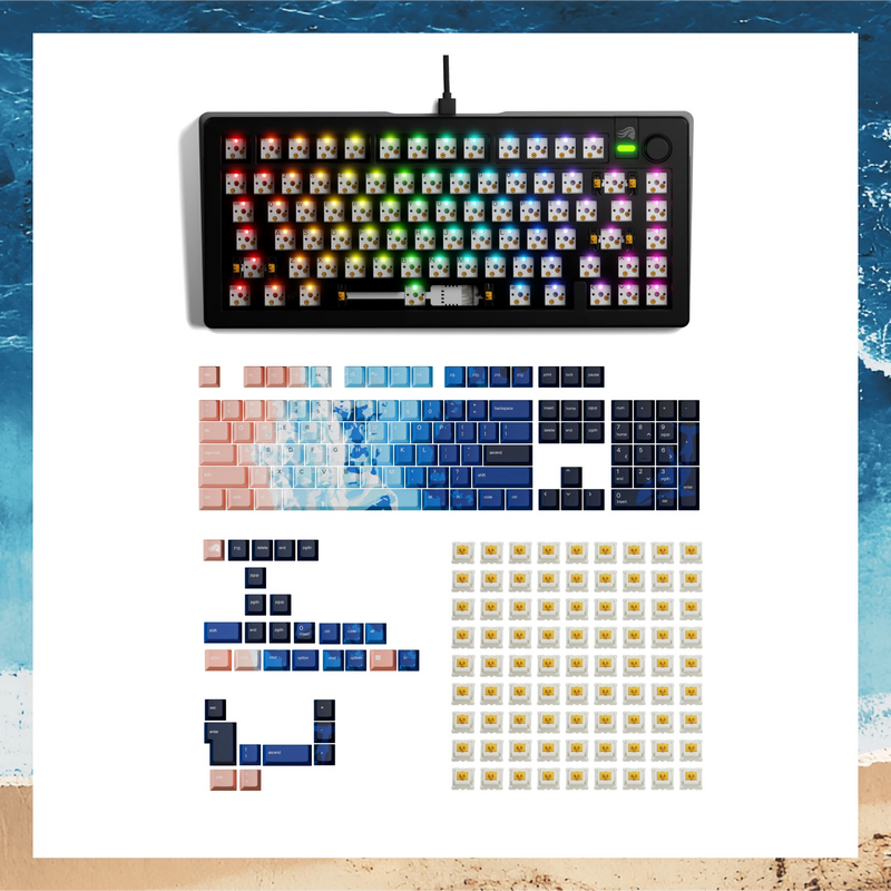 High Tide Bundle