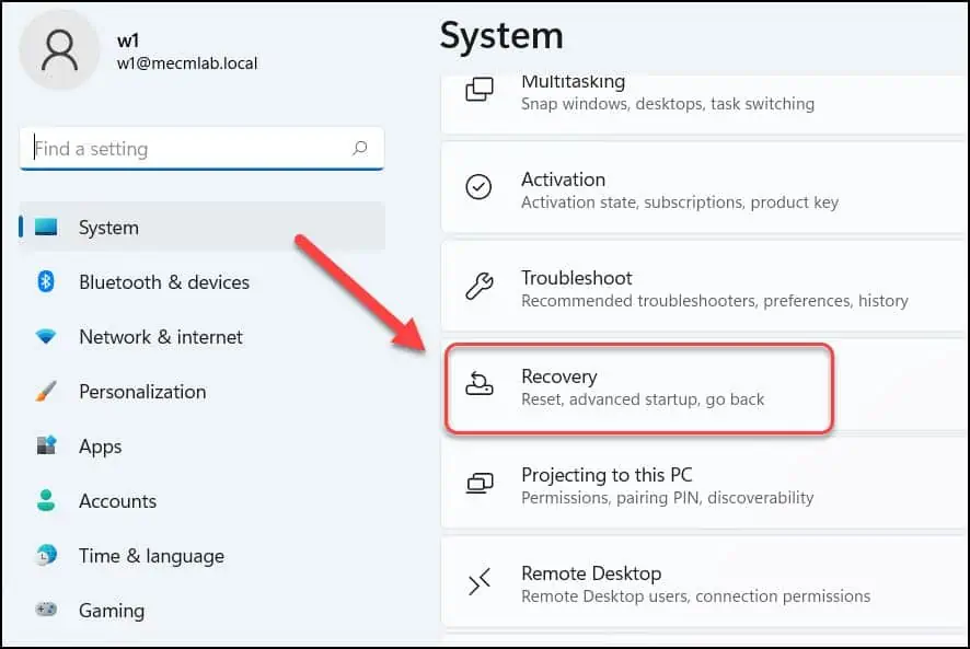 Select Windows 11 Recovery