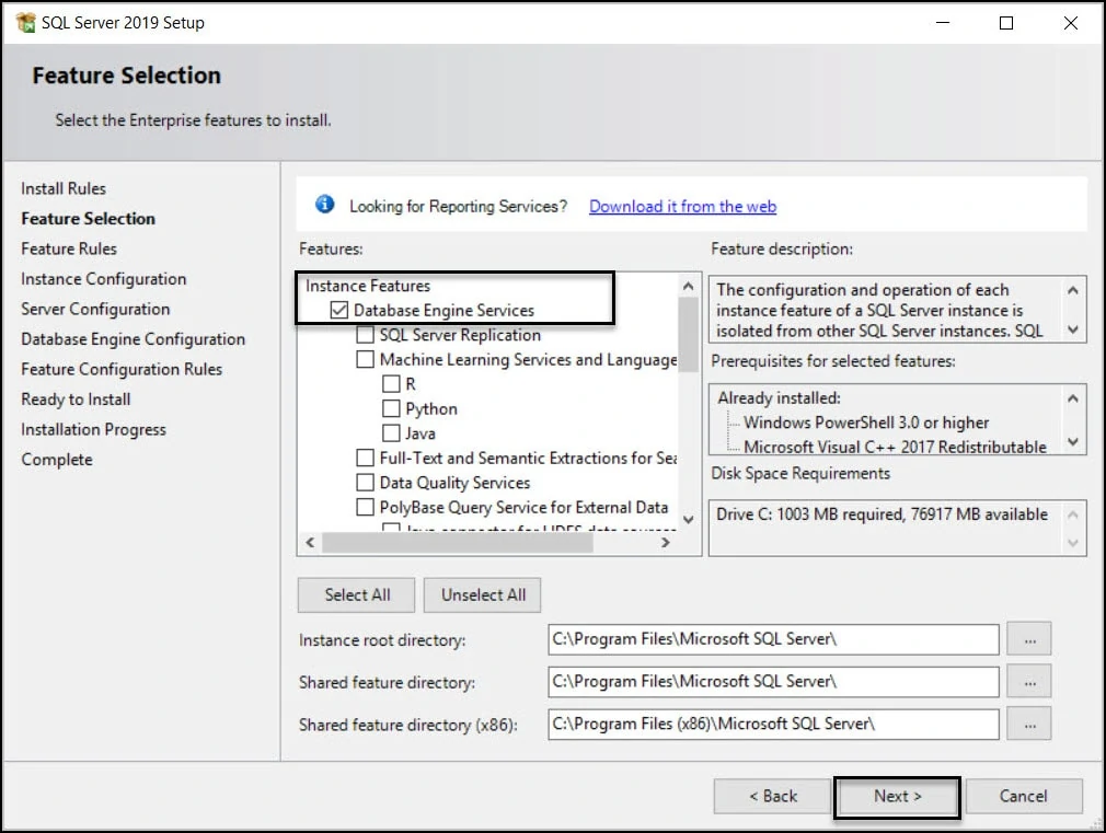 Feature Selection-Database Engine Services