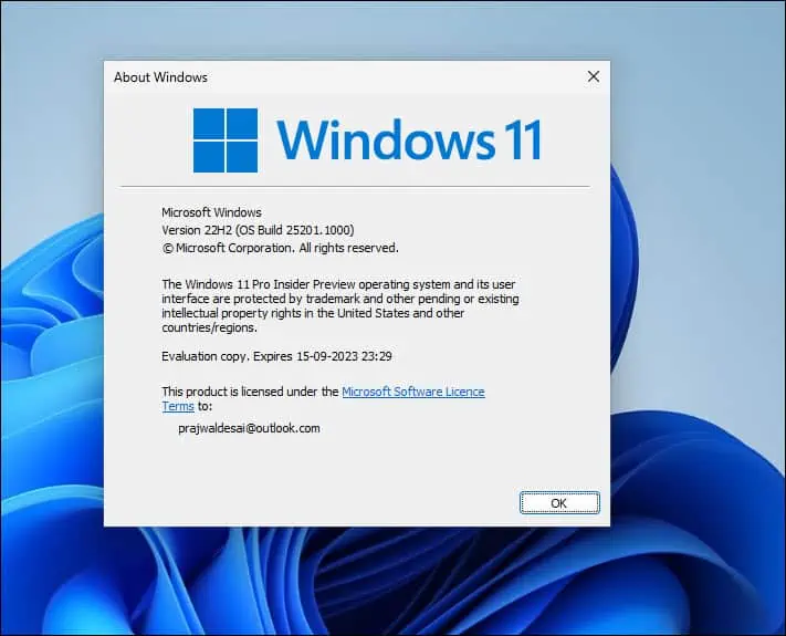 Check Windows 11 Insider Preview Build Details